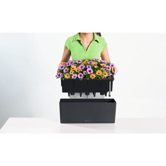 LECHUZA Balconera Color50 Ζαρντινιέρα 50x19x19cm Αυτοποτιζόμενη με Δοχείο Φύτευσης ΑΝΘΡΑΚΙ Γερμανίας