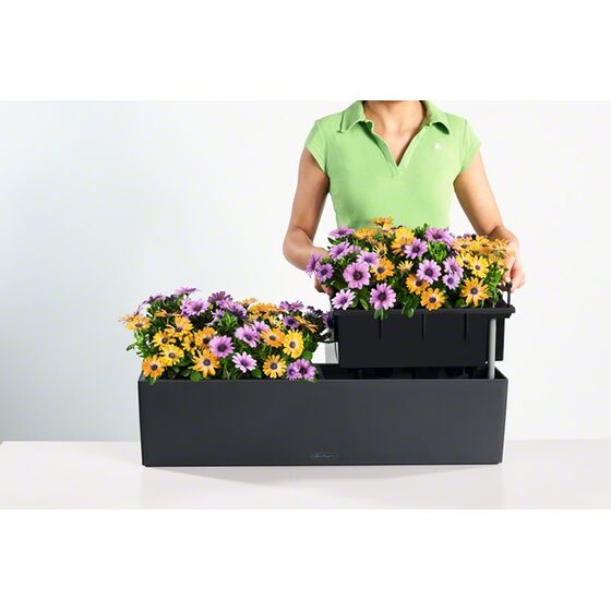 LECHUZA Balconera Color80 Ζαρντινιέρα 79x19x19cm Αυτοποτιζόμενη με 2 Δοχεία Φύτευσης ΑΝΘΡΑΚΙ Γερμανίας