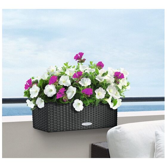 LECHUZA Balconera Cottage50 Ζαρντινιέρα 50x19x19cm Αυτοποτιζόμενη με Δοχείο Φύτευσης ΑΝΘΡΑΚΙ Γερμανίας RedDot Award 2010