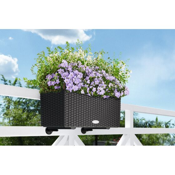 LECHUZA Balconera Cottage50 Ζαρντινιέρα 50x19x19cm Αυτοποτιζόμενη με Δοχείο Φύτευσης ΑΝΘΡΑΚΙ Γερμανίας RedDot Award 2010
