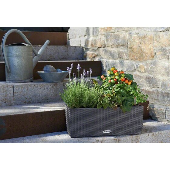 LECHUZA Balconera Cottage50 Ζαρντινιέρα 50x19x19cm Αυτοποτιζόμενη με Δοχείο Φύτευσης ΑΝΘΡΑΚΙ Γερμανίας RedDot Award 2010