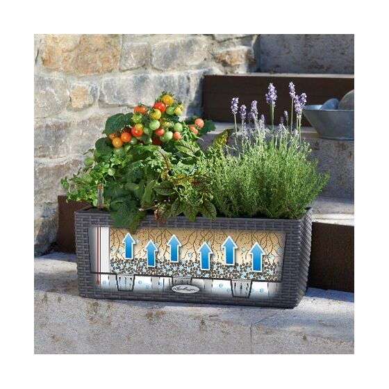 LECHUZA Balconera Cottage50 Ζαρντινιέρα 50x19x19cm Αυτοποτιζόμενη με Δοχείο Φύτευσης ΑΝΘΡΑΚΙ Γερμανίας RedDot Award 2010