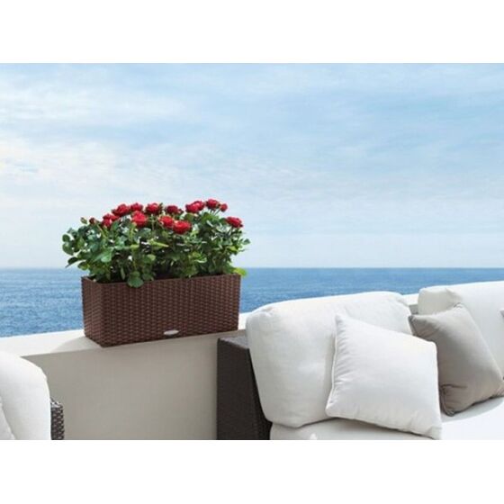 LECHUZA Balconera Cottage50 Ζαρντινιέρα 50x19x19cm Αυτοποτιζόμενη με Δοχείο Φύτευσης ΚΑΦΕ-ΜΟΚΑ Γερμανίας RedDot Award 2010