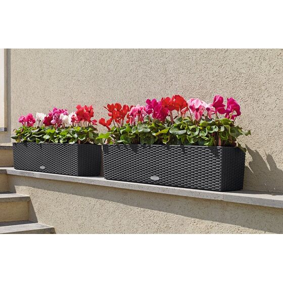 LECHUZA Balconera Cottage80 Ζαρντινιέρα 79x19x19cm Αυτοποτιζόμενη με 2 Δοχεία Φύτευσης ΑΝΘΡΑΚΙ Γερμανίας RedDot Award 2010