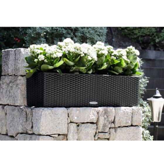 LECHUZA Balconera Cottage80 Ζαρντινιέρα 79x19x19cm Αυτοποτιζόμενη με 2 Δοχεία Φύτευσης ΑΝΘΡΑΚΙ Γερμανίας RedDot Award 2010