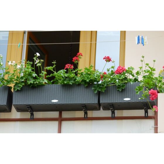 LECHUZA Balconera Cottage80 Ζαρντινιέρα 79x19x19cm Αυτοποτιζόμενη με 2 Δοχεία Φύτευσης ΑΝΘΡΑΚΙ Γερμανίας RedDot Award 2010