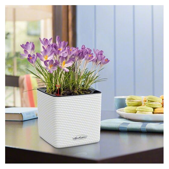 LECHUZA Cube Color16 Επιτραπέζια Γλάστρα 17x17x16cm Αυτοποτιζόμενη με Δοχείο ΛΕΥΚΗ Γερμανίας RedDot Award 2014German Design Award 2016