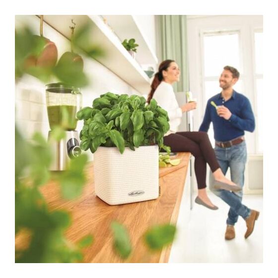 LECHUZA Cube Color16 Επιτραπέζια Γλάστρα 17x17x16cm Αυτοποτιζόμενη με Δοχείο ΛΕΥΚΗ Γερμανίας RedDot Award 2014German Design Award 2016