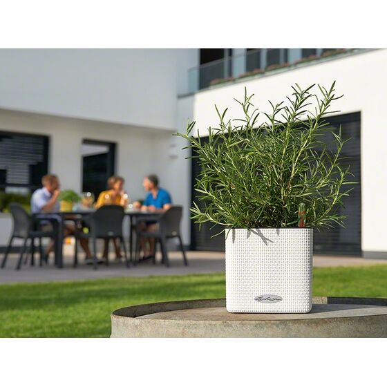 LECHUZA Cube Color14 Επιτραπέζια Γλάστρα 14x14x13.5cm Αυτοποτιζόμενη με Δοχείο ΛΕΥΚΗ Γερμανίας RedDot Award 2014/German Design Award 2016