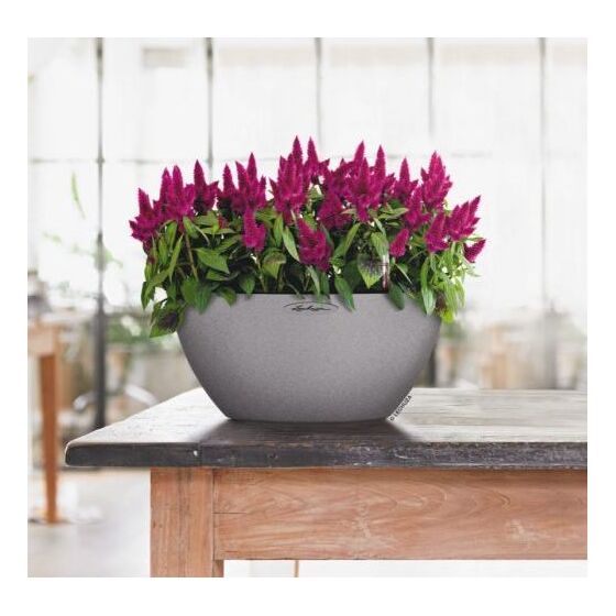 LECHUZA Cubeto Color40 Επιτραπέζια Γλάστρα Ø40x18.3cm Αυτοποτιζόμενη με Δοχείο Φύτευσης 11.5lt ΓΚΡΙ με Όψη Πέτρας Γερμανίας