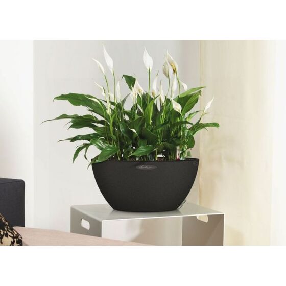 LECHUZA Cubeto Color40 Επιτραπέζια Γλάστρα Ø40x18.3cm Αυτοποτιζόμενη με Δοχείο Φύτευσης 11.5lt ΓΡΑΦΙΤΗΣ με Όψη Πέτρας Γερμανίας