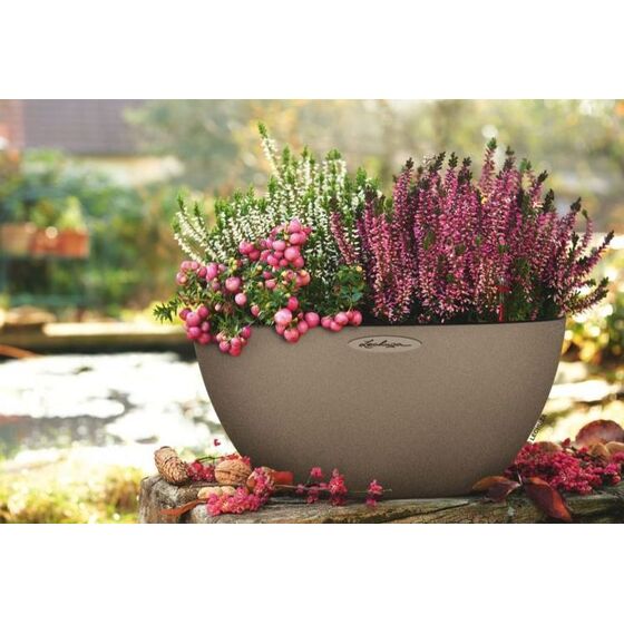 LECHUZA Cubeto Color40 Επιτραπέζια Γλάστρα Ø40x18.3cm Αυτοποτιζόμενη με Δοχείο Φύτευσης 11.5lt ΜΠΕΖ με Όψη Πέτρας Γερμανίας