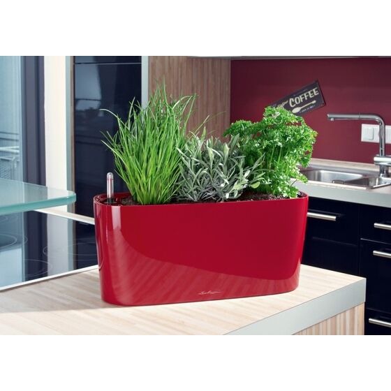 LECHUZA Delta10 Επιτραπέζια Γλάστρα 30x11x13cm Αυτοποτιζόμενη με Δοχείο Φύτευσης ΚΟΚΚΙΝΗ Γερμανίας RedDot Award 2009Designpreis Deutchland 2010
