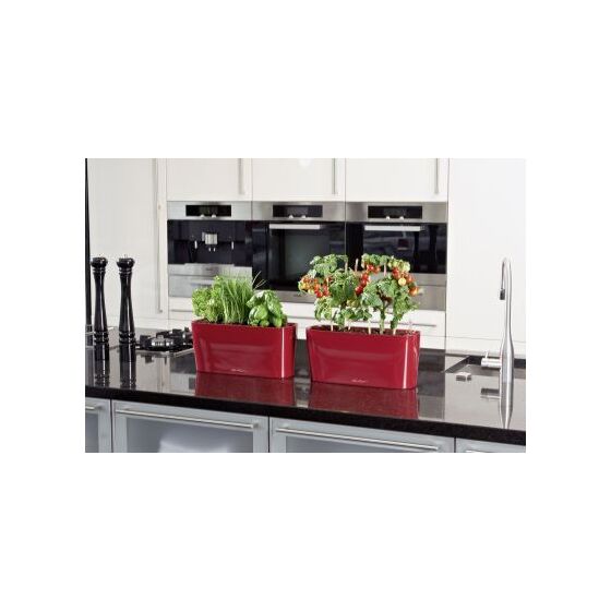 LECHUZA Delta10 Επιτραπέζια Γλάστρα 30x11x13cm Αυτοποτιζόμενη με Δοχείο Φύτευσης ΚΟΚΚΙΝΗ Γερμανίας RedDot Award 2009Designpreis Deutchland 2010