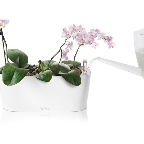 LECHUZA Delta10 Επιτραπέζια Γλάστρα 30x11x13cm Αυτοποτιζόμενη με Δοχείο Φύτευσης ΛΕΥΚΗ Γερμανίας RedDot Award 2009/Designpreis Deutchland 2010