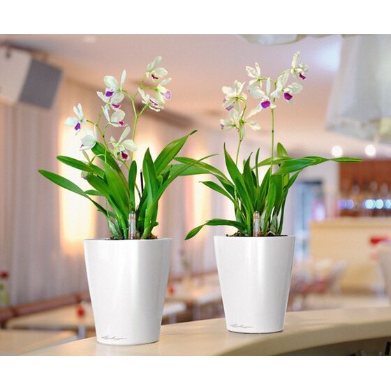 LECHUZA Deltini Επιτραπέζια Γλάστρα 15x15x19cm Αυτοποτιζόμενη με Δοχείο Φύτευσης ΛΕΥΚΗ Γερμανίας iF Product Design Award 2012