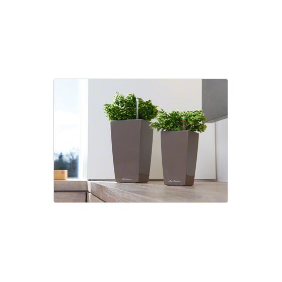 LECHUZA Maxi-Cubi Επιτραπέζια Γλάστρα 14x14x26cm Αυτοποτιζόμενη με Δοχείο Φύτευσης ΓΚΡΙ-ΚΑΦΕ Γερμανίας