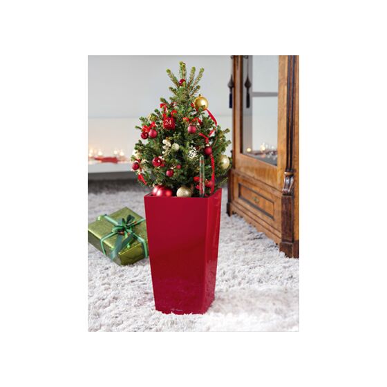 LECHUZA Maxi-Cubi Επιτραπέζια Γλάστρα 14x14x26cm Αυτοποτιζόμενη με Δοχείο Φύτευσης ΚΟΚΚΙΝΗ Γερμανίας