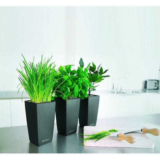 LECHUZA Mini-Cubi Επιτραπέζια Γλάστρα 9.5x9.5x18.5cm Αυτοποτιζόμενη με Δοχείο Φύτευσης ΑΝΘΡΑΚΙ Γερμανίας