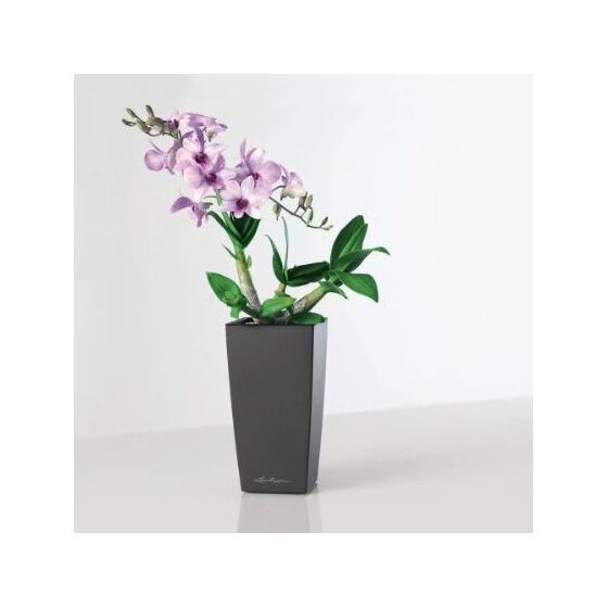 LECHUZA Mini-Cubi Επιτραπέζια Γλάστρα 9.5x9.5x18.5cm Αυτοποτιζόμενη με Δοχείο Φύτευσης ΑΝΘΡΑΚΙ Γερμανίας