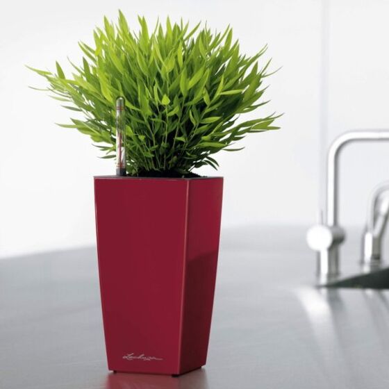LECHUZA Mini-Cubi Επιτραπέζια Γλάστρα 9.5x9.5x18.5cm Αυτοποτιζόμενη με Δοχείο Φύτευσης ΚΟΚΚΙΝΗ Γερμανίας