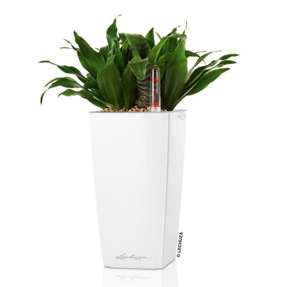 LECHUZA Mini-Cubi Επιτραπέζια Γλάστρα 9.5x9.5x18.5cm Αυτοποτιζόμενη με Δοχείο Φύτευσης ΛΕΥΚΗ Γερμανίας