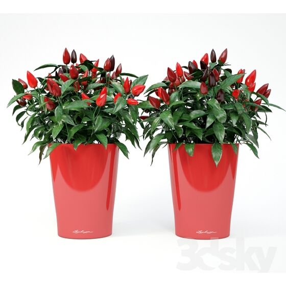 LECHUZA Mini Deltini Επιτραπέζια Γλάστρα 10x10x13cm Αυτοποτιζόμενη με Δοχείο Φύτευσης ΚΟΚΚΙΝΗ Γερμανίας iF Product Design Award 2012