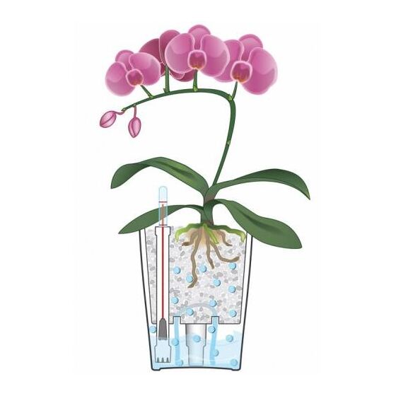 LECHUZA Mini Deltini Επιτραπέζια Γλάστρα 10x10x13cm Αυτοποτιζόμενη με Δοχείο Φύτευσης ΚΟΚΚΙΝΗ Γερμανίας iF Product Design Award 2012