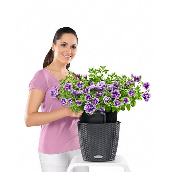 LECHUZA Nido Cottage Κρεμαστή Γλάστρα Ø27x23cm Στρογγυλή Αυτοποτιζόμενη με Δοχείο Φύτευσης Ανοξείδωτο Αξεσουάρ Κρέμασης ΑΝΘΡΑΚΙ Γερμανίας