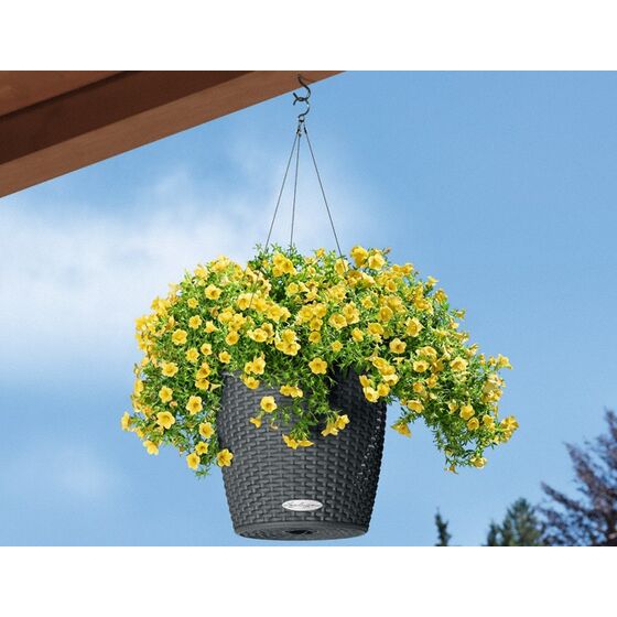 LECHUZA Nido Cottage Κρεμαστή Γλάστρα Ø27x23cm Στρογγυλή Αυτοποτιζόμενη με Δοχείο Φύτευσης Ανοξείδωτο Αξεσουάρ Κρέμασης ΑΝΘΡΑΚΙ Γερμανίας