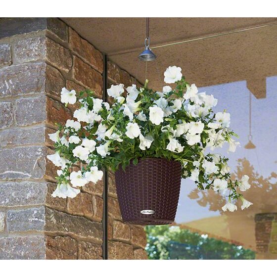LECHUZA Nido Cottage Κρεμαστή Γλάστρα Ø27x23cm Στρογγυλή Αυτοποτιζόμενη με Δοχείο Φύτευσης Ανοξείδωτο Αξεσουάρ Κρέμασης ΚΑΦΕ-ΜΟΚΑ Γερμανίας