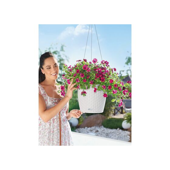 LECHUZA Nido Cottage Κρεμαστή Γλάστρα Ø27x23cm Στρογγυλή Αυτοποτιζόμενη με Δοχείο Φύτευσης Ανοξείδωτο Αξεσουάρ Κρέμασης ΛΕΥΚΗ Γερμανίας