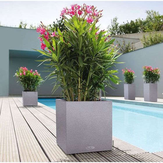 LECHUZA Canto Color Κύβος 30 Επιδαπέδια Γλάστρα 30x30x30cm Αυτοποτιζόμενη με Δοχείο ΓΚΡΙ όψη ΦΥΣΙΚΗ ΠΕΤΡΑ Γερμανίας