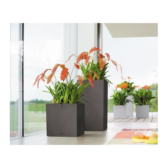 LECHUZA Canto Color Κύβος 30 Επιδαπέδια Γλάστρα 30x30x30cm Αυτοποτιζόμενη με Δοχείο ΜΑΥΡΟ του ΓΡΑΦΙΤΗ όψη ΦΥΣΙΚΗ ΠΕΤΡΑ Γερμανίας