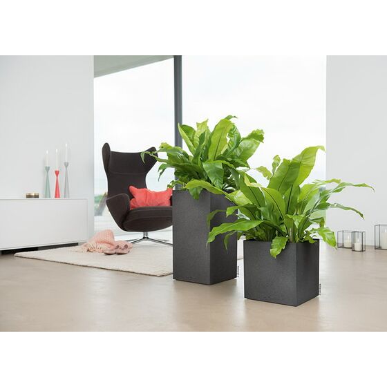 LECHUZA Canto Color Στήλη 30 Επιδαπέδια Γλάστρα 30x30x56cm Αυτοποτιζόμενη με Δοχείο ΜΑΥΡΟ του ΓΡΑΦΙΤΗ όψη ΦΥΣΙΚΗ ΠΕΤΡΑ Γερμανίας