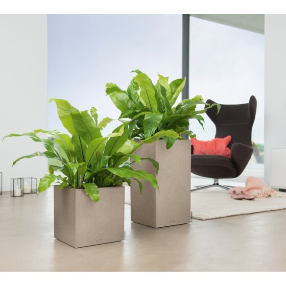 LECHUZA Canto Color Στήλη 30 Επιδαπέδια Γλάστρα 30x30x56cm Αυτοποτιζόμενη με Δοχείο ΜΠΕΖ της ΑΜΜΟΥ όψη ΦΥΣΙΚΗ ΠΕΤΡΑ Γερμανίας