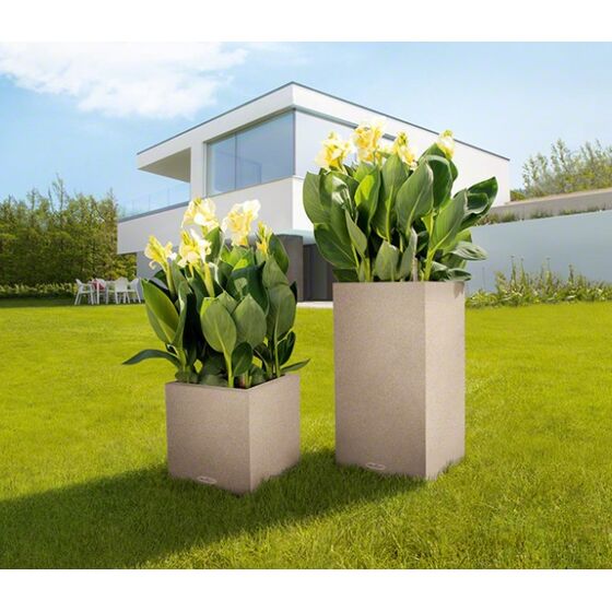 LECHUZA Canto Color Στήλη 30 Επιδαπέδια Γλάστρα 30x30x56cm Αυτοποτιζόμενη με Δοχείο ΜΠΕΖ της ΑΜΜΟΥ όψη ΦΥΣΙΚΗ ΠΕΤΡΑ Γερμανίας