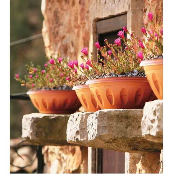 Γλάστρα Μπωλ Βαρέως Τύπου με Πιάτο Ø20x12x8cm 1.6lt Πλαστική Κεραμιδί 0.09 Kg ALBA BAMA Ιταλίας