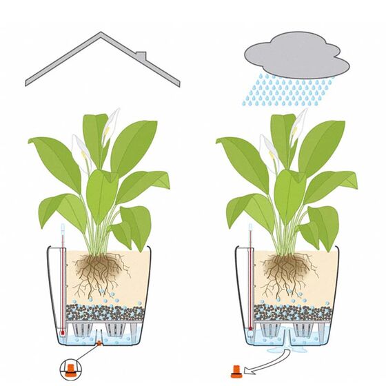 LECHUZA Classico 21 Επιτραπέζια Γλάστρα Ø21.5x20.5cm Αυτοποτιζόμενη Καφέ Γερμανίας