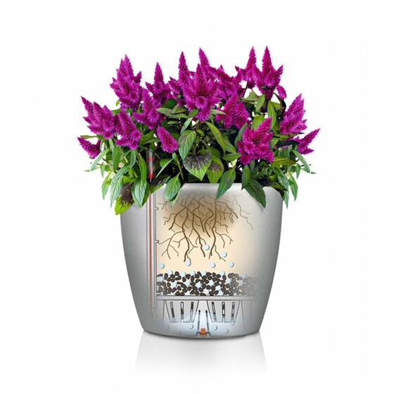 LECHUZA Classico 21 Επιτραπέζια Γλάστρα Ø21.5x20.5cm Αυτοποτιζόμενη Καφέ Γερμανίας