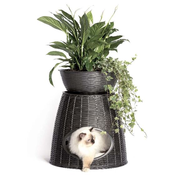 BAMA ITALY Διπλό Κρεβατάκι Κατοικίδιων-Σκαμπό 52x50x55cm RATTAN + 2 Μαξιλάρια PASHA Ανθρακί