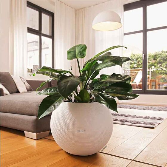 LECHUZA Puro 50 Επιδαπέδια Γλάστρα Ø49x41.5cm Σφαιρική Αυτοποτιζόμενη με Δοχείο Φύτευσης 13lt Λευκή Γερμανίας RedDot Award 2014