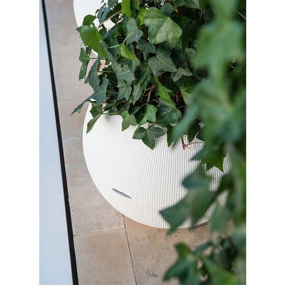 LECHUZA Puro 50 Επιδαπέδια Γλάστρα Ø49x41.5cm Σφαιρική Αυτοποτιζόμενη με Δοχείο Φύτευσης 13lt Λευκή Γερμανίας RedDot Award 2014