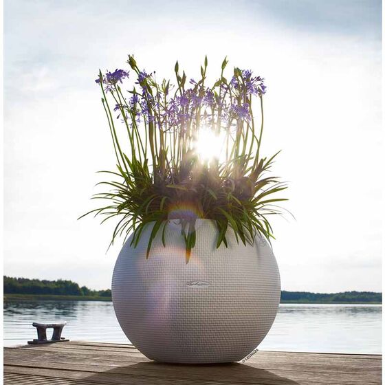 LECHUZA Puro 50 Επιδαπέδια Γλάστρα Ø49x41.5cm Σφαιρική Αυτοποτιζόμενη με Δοχείο Φύτευσης 13lt Λευκή Γερμανίας RedDot Award 2014