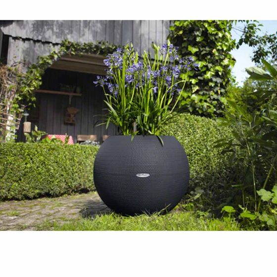 LECHUZA Puro 50 Επιδαπέδια Γλάστρα Ø49x41.5cm Σφαιρική Αυτοποτιζόμενη με Δοχείο Φύτευσης 13lt Ανθρακί Γερμανίας RedDot Award 2014