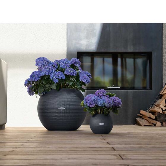 LECHUZA Puro 50 Επιδαπέδια Γλάστρα Ø49x41.5cm Σφαιρική Αυτοποτιζόμενη με Δοχείο Φύτευσης 13lt Ανθρακί Γερμανίας RedDot Award 2014
