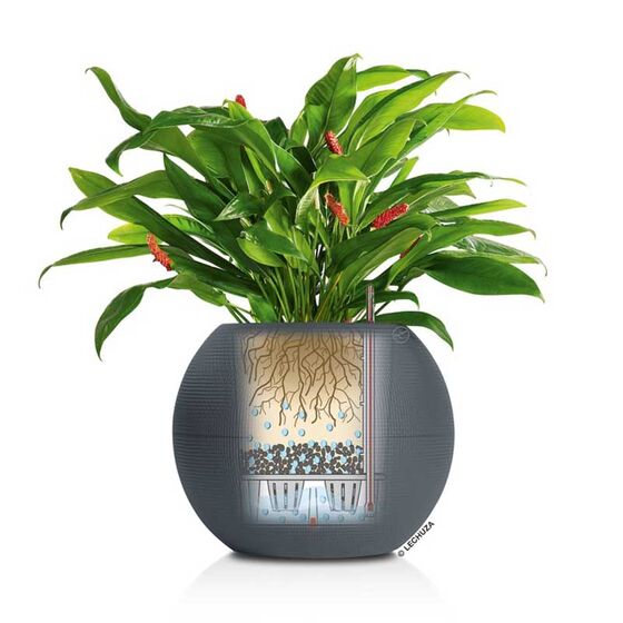 LECHUZA Puro 50 Επιδαπέδια Γλάστρα Ø49x41.5cm Σφαιρική Αυτοποτιζόμενη με Δοχείο Φύτευσης 13lt Ανθρακί Γερμανίας RedDot Award 2014