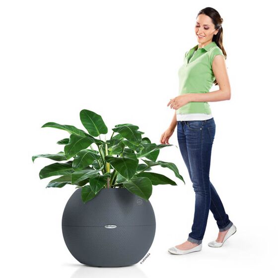 LECHUZA Puro 50 Επιδαπέδια Γλάστρα Ø49x41.5cm Σφαιρική Αυτοποτιζόμενη με Δοχείο Φύτευσης 13lt Ανθρακί Γερμανίας RedDot Award 2014
