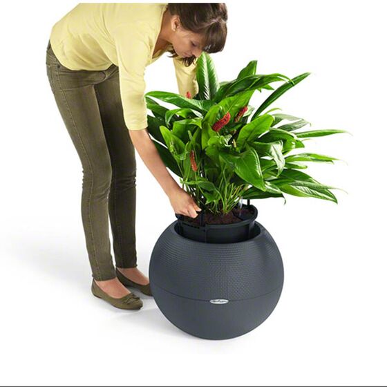 LECHUZA Puro 50 Επιδαπέδια Γλάστρα Ø49x41.5cm Σφαιρική Αυτοποτιζόμενη με Δοχείο Φύτευσης 13lt Λευκή Γερμανίας RedDot Award 2014