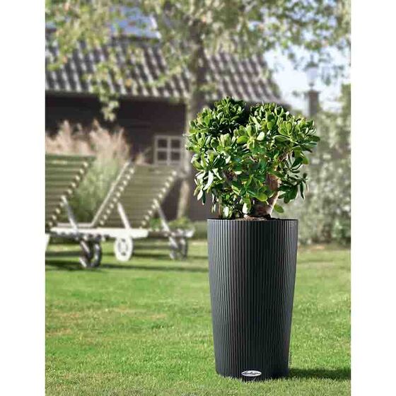 LECHUZA CILINDRO 23 Επιδαπέδια Γλάστρα Ø23x41cm Αυτοποτιζόμενη με Δοχείο Φύτευσης Ανθρακί Γερμανίας